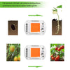50W LED COB Grow Lights for Indoor Plants and Garden seedlings