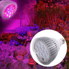 12 Bulb LED Grow Light for seedlings, succulents and indoor plants
