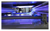 300x200mm UV LED Curing Conveyor with adjustable Chain Belt