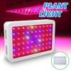 1000W Full Spectrum LED Grow Light for indoor greenhouse & hydroponic plants