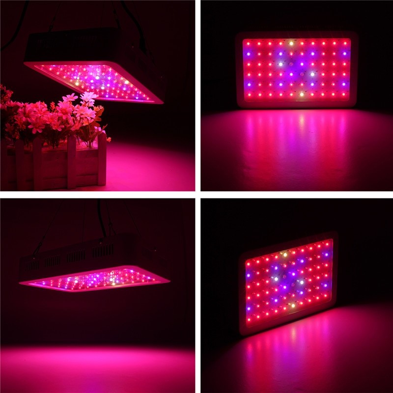 best led grow lamps for indoor plants 1000W Full Spectrum LED Grow Light for indoor greenhouse & hydroponic – CureUV