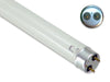 Germicidal UV Bulbs - Philips - TUV G15T8 Air/Water Treatment Germicidal UV Light Bulb