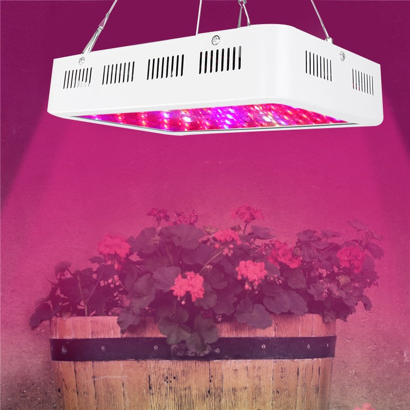 Lampe de culture LED à spectre complet de 1000 W pour serre intérieure et plantes hydroponiques