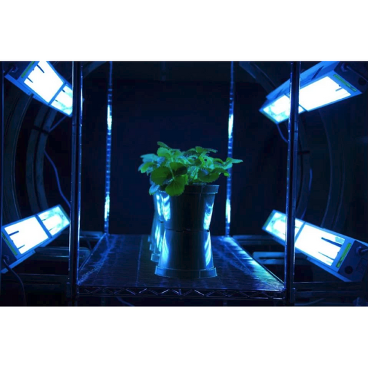 UV Lights for the Horticulture Industry